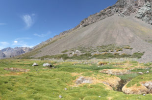 Sector el Juncal